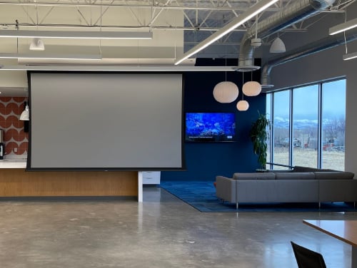projection screen-100