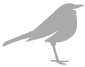 birdie birdie