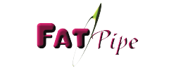 FatPipe Networks Logo