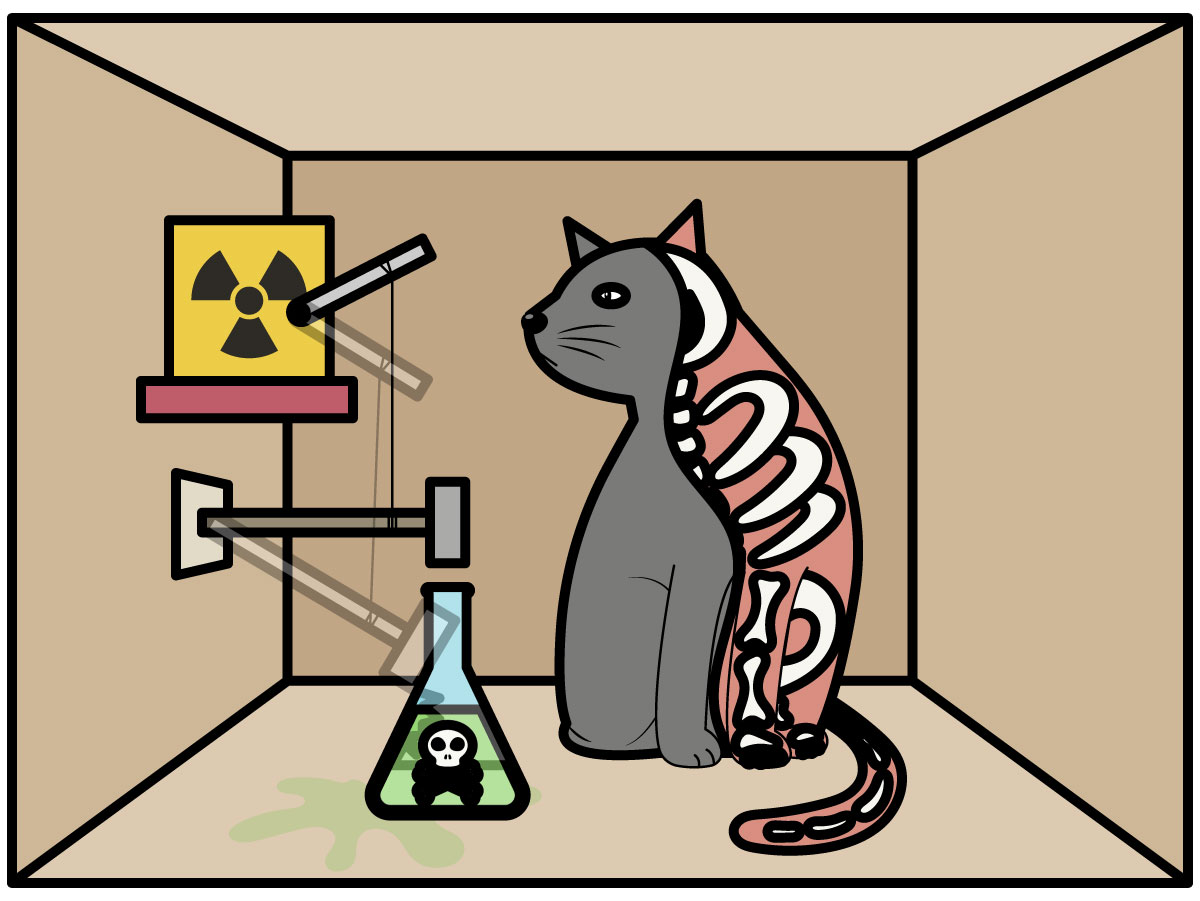 Schrodinger's Cat